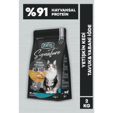 Signature Tavuklu Yetişkin Kedi 2 kg