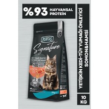 Signature Somonlu Yetişkin Kedi-Tüy Yum. Önl. 10 kg