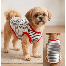 Kedi Köpek Kıyafetliçizgilit Shirt Atlet