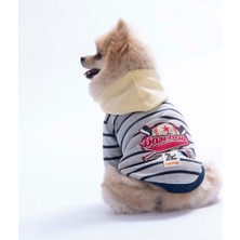 Pawstar Sarı Seattle Pitch Köpek Hoodie Köpek Sweat Köpek Kıyafeti Kedi Kıyafeti