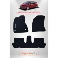 Rizline Citroen C4 Picasso 2013 ve Sonrası Klipsli Araca Özel Üretim Siyah