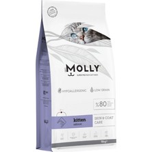 Molly Somonlu Yavru Kedi Maması 15 kg
