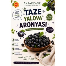 Taze Aronya Meyvesi Aronia Yalova Üretim Coğrafi Işaretli Süper Meyve Aronya 3kg