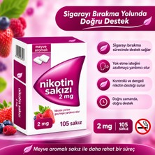 Nicarette 2mg 105 Adet Meyve Aromalı Sakız