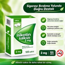Nicarette 2 Mg 105 Adet Naneli Sakız