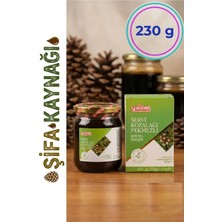 Arı Damlası Şifa Kaynağı Servi Kozalağı Pekmezli Bitkisel Karışım 230 G – Geleneksel Bitkisel Içerik, Özenle Hazırlanmış Premium Formül