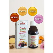 Arı Damlası Kampanyalı Avantaj Paket | Arı Sütü Polen Macunu & Propolisli Keçiboynuzu Pekmezi & Ekinezya Şurubu
