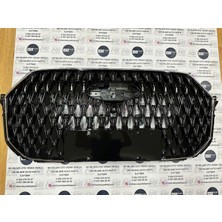 Ns Nilser Auto Parts Chery Tiggo 7 Yeni Panjur 2025-2027 602007481AA