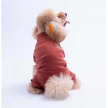 Pawstar Bordo Berry Hedge Köpek Tulumu Köpek Kıyafeti Kedi Kıyafeti