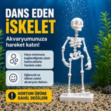 EMS 3D Dans Eden Iskelet (Akvaryum)