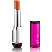 Mybl Flormar Delıcıous Lipstick Stylo SPF 15 DS08