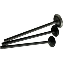 Universal Tvs Raider 125 Subap Set | MOTO11