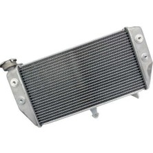 Universal R25 Radyatör Oem 2014 2024 | MOTO11