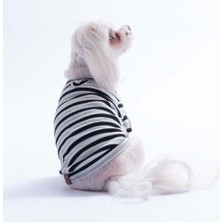 Pawstar Siyah Marseille Softline Çizgili Kedi Köpek Sweati Köpek Kıyafeti Kedi Kıyafeti