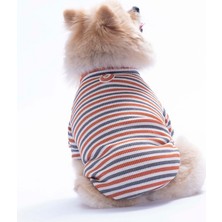 Pawstar Kiremit Marseille Softline Çizgili Kedi Köpek Sweati Köpek Kıyafeti Kedi Kıyafeti