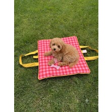 Loiluipets Taşınabilir & Yıkanabilir İç ve Dış Mekan Kedi & Köpek Matı 60x50cm – Çizgili Desen
