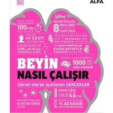 Alfa Yayınları Beyin Nasıl Çalışır (Ciltli)