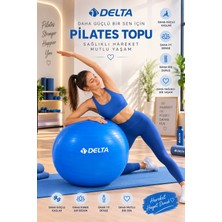 Delta Kutulu 65 cm Pilates Topu Şişirme Pompası Seti Egzersiz Topu 65CM Plates Seti