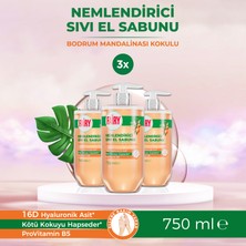 Fairy Sıvı El Sabunu Bodrum Mandalinası Kokulu 3 x 750 ml