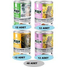 Dr.diyor Karma Koli Kedi Mamaları 48 Adet 01