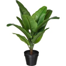 IKEA Modern Yeşil Yapay Bitki 12 cm - Dekoratif Ev Bahçe Ofis Süs Bitki - Gerçekçi Doğal Görünüm - Bakım Gerektirmez