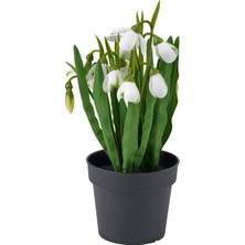 IKEA Modern Yeşil Yapay Bitki 9 cm - Dekoratif Ev Bahçe Ofis Süs Bitki - Gerçekçi Doğal Görünüm - Bakım Gerektirmez