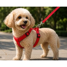 Gezdirme Kayışlı Dokuma Köpek Göğüs Tasma Seti 32*47-110 cm Kırmızı