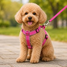 Gezdirme Kayışlı Dokuma Köpek Göğüs Tasma Seti 32*47-110 cm Pembe