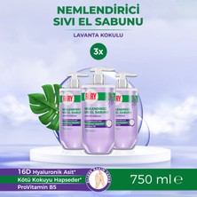 Fairy Sıvı El Sabunu Lavanta Yağlı 3 x 750 ml