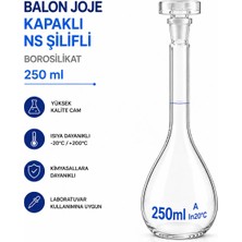 Labolist Balon Joje Kapaklı Ns Şilifli Borosilikat 250 ml