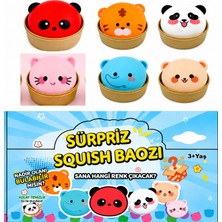 Toysturka Squishy Dumpling Sürpriz Paket Renkli Hayvanlı Çin Mantısı Sukuşi Özel Kutulu Büyük Boy 10X10 cm