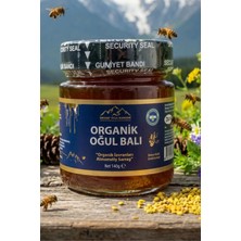 Nurbal Organik Oğul Balı 300 gr