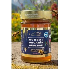 Nurbal Organik Oğul Balı 450 gr