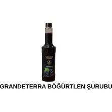GRANDETERRA Grande Terra Böğürtlen Aromalı Kokteyl ve Kahve Şurubu 750 ml