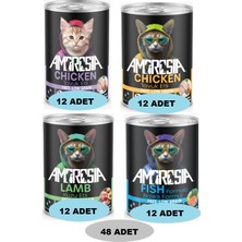 Ambrosia Karma Koli Kedi Mamaları 48 Adet 01