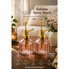 Porsima Vintage 2'li Cam Bitki Sulama Şişesi Oda Kokusu Dağıtıcı Çok Amaçlı Sprey Şişe Seti 250 ml Mor