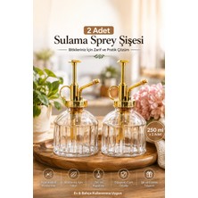 Porsima Vintage 2'li Cam Bitki Sulama Şişesi Oda Kokusu Dağıtıcı Çok Amaçlı Sprey Şişe Seti 250 ml Pembe