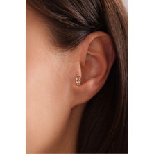 Gianfranco 14 Ayar Altın Miço Düğüm Tragus Küpe