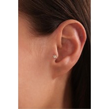 Gianfranco 14 Ayar Altın Taşlı Kutup Yıldızı Tragus Küpe