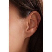 Gianfranco 14 Ayar Altın Yılan Tragus Küpe
