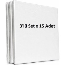 Bigpoint Mini Tuval 2.5x2.5" 3'lü Set x 15 Adet