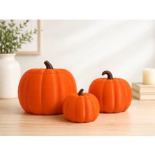 Narlab Pumpkin / 3'lü Balkabağı Kutu Seti