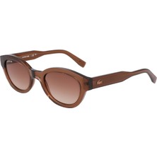 G-LACOSTE-6024S-210-52-22-2024*