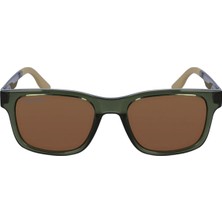 G-LACOSTE-3656S-317-50-2024*