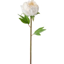 IKEA Modern Beyaz Yapay Çiçek 30 cm - Dekoratif Ev Bahçe Ofis Süs Bitki - Gerçekçi Doğal Görünüm - Bakım Gerektirmez