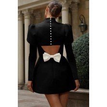 Palmira Demir Kadın Uzun Kollu Yarı Balıkçı Yaka Arkadan Kurdela Detaylı Mini Atlas Elbise - Siyah / L-Xl