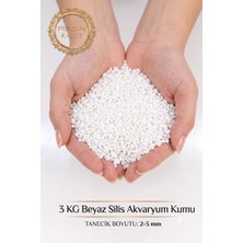 Barış Bazalt Doğaltaş 3 kg Beyaz Silis Akvaryum Kumu 2-3 mm Doğal Beyaz Taban Kumu Akvaryum Dekor Kumu-Kalsiyum Karbonatlı Kum