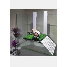 Salıncak Piramit Kaplumbağa Rampası 20X10 Askı Boyu 15CM Yapay Bitki Hediyeli