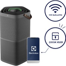 Electrolux Epo60571dg Pure 600 Hava Temizleme Cihazı