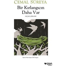 Aydogan's Kırlangıç ve Anlatılar: Şiirsel Anlamlar